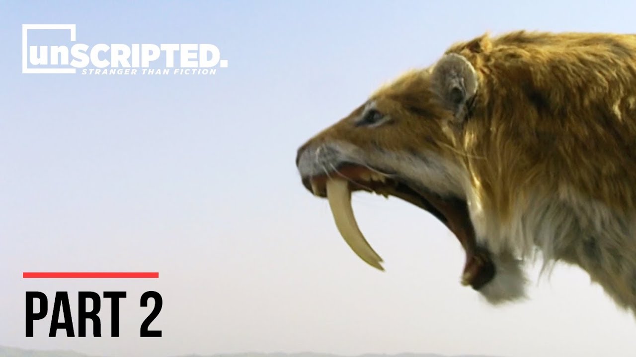 What or who could've killed off the fierce Sabre Toothed Tiger? | Extinct | Part 2