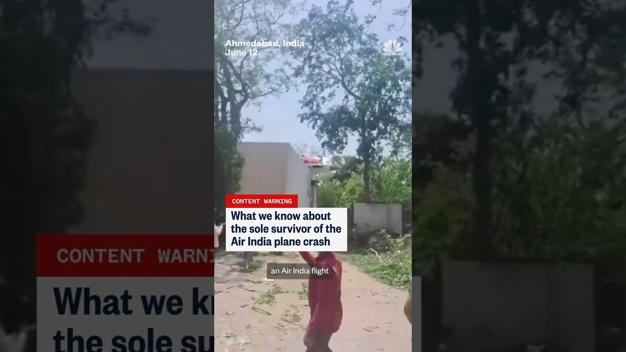 What we know about the sole survivor of the Air India plane crash