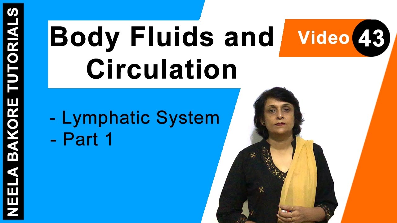 Body Fluids and Circulation | NEET | Lymphatic System  - Part 1 | Neela Bakore Tutorials