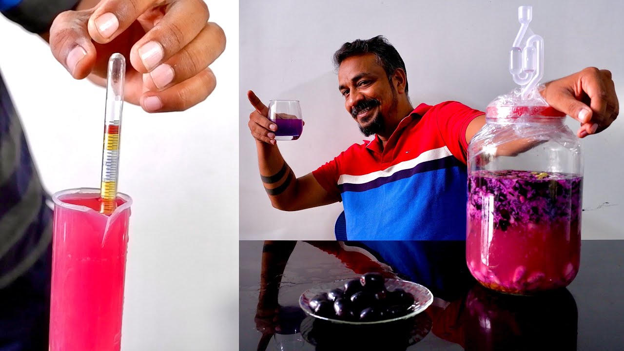 Home Brewing -Jamun Wine at Making Home - Traditional Method Wine Making and Wine Clearing