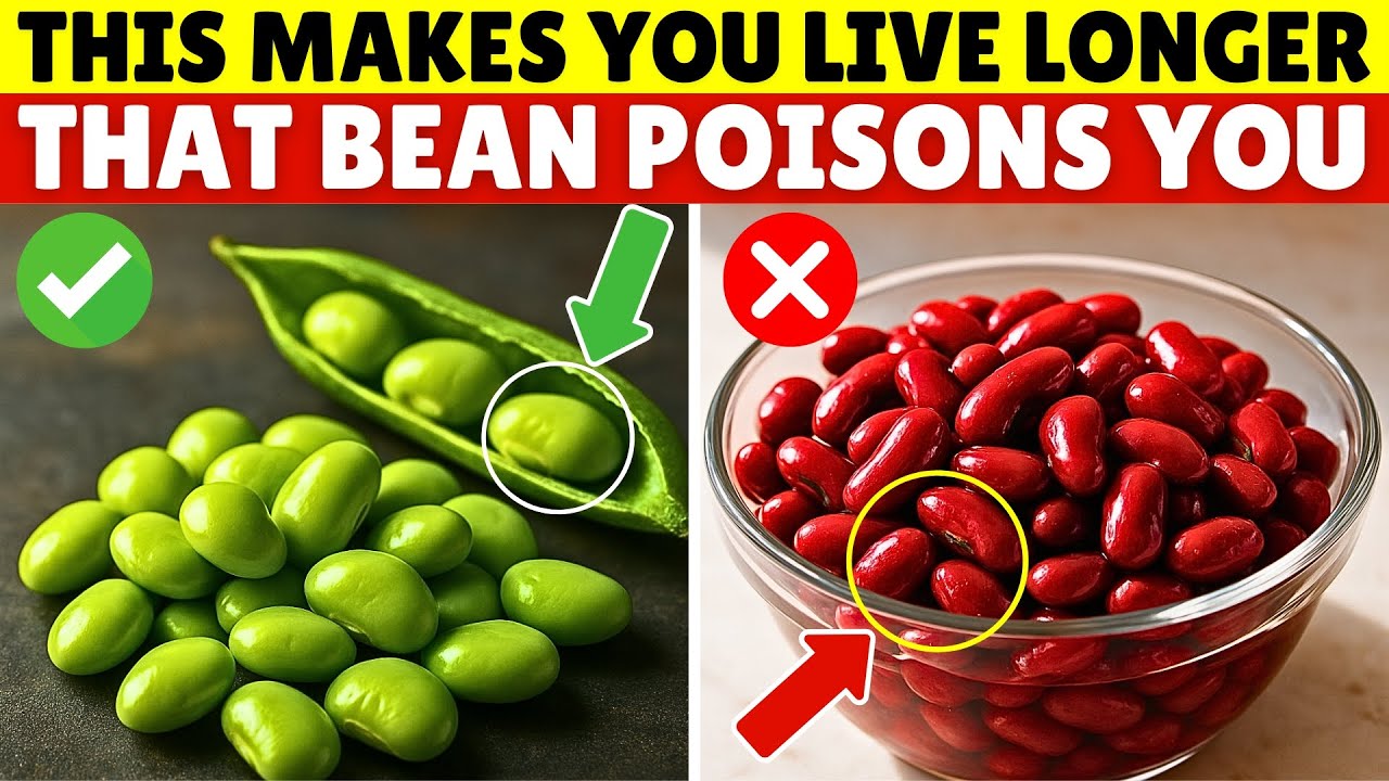 Over 60? 4 DANGEROUS Beans You Should NEVER Touch and 4 You MUST Eat DAILY | Senior Health Tips