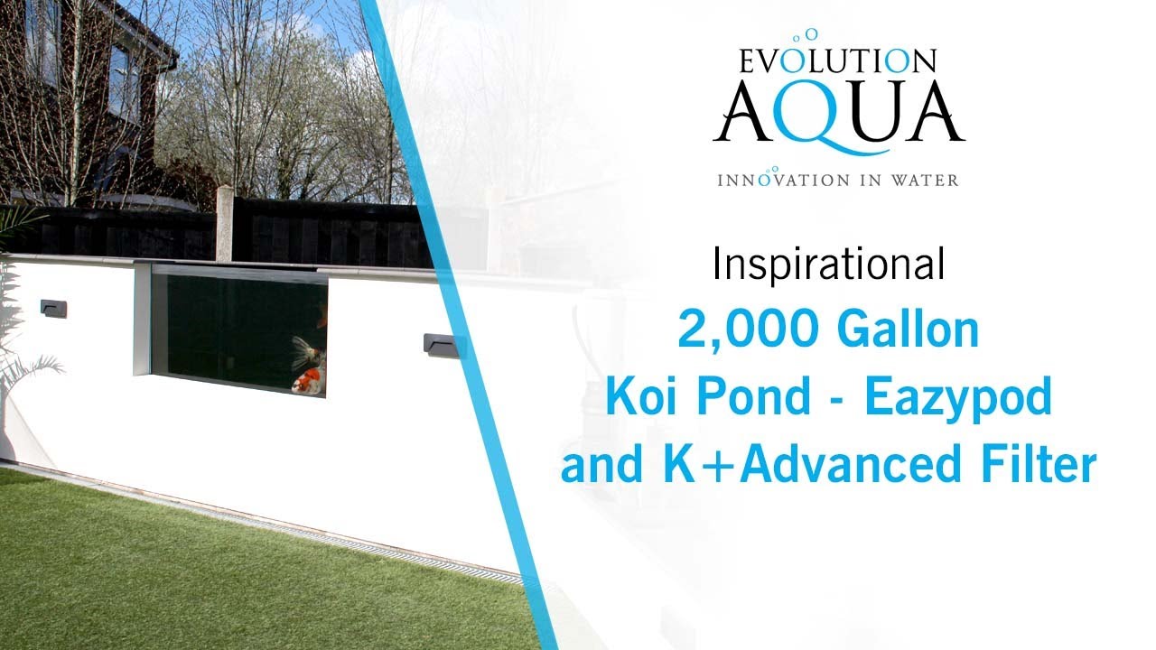2,000 Gallon Koi Pond with Evolution Aqua Eazypod and K+Advanced Filter