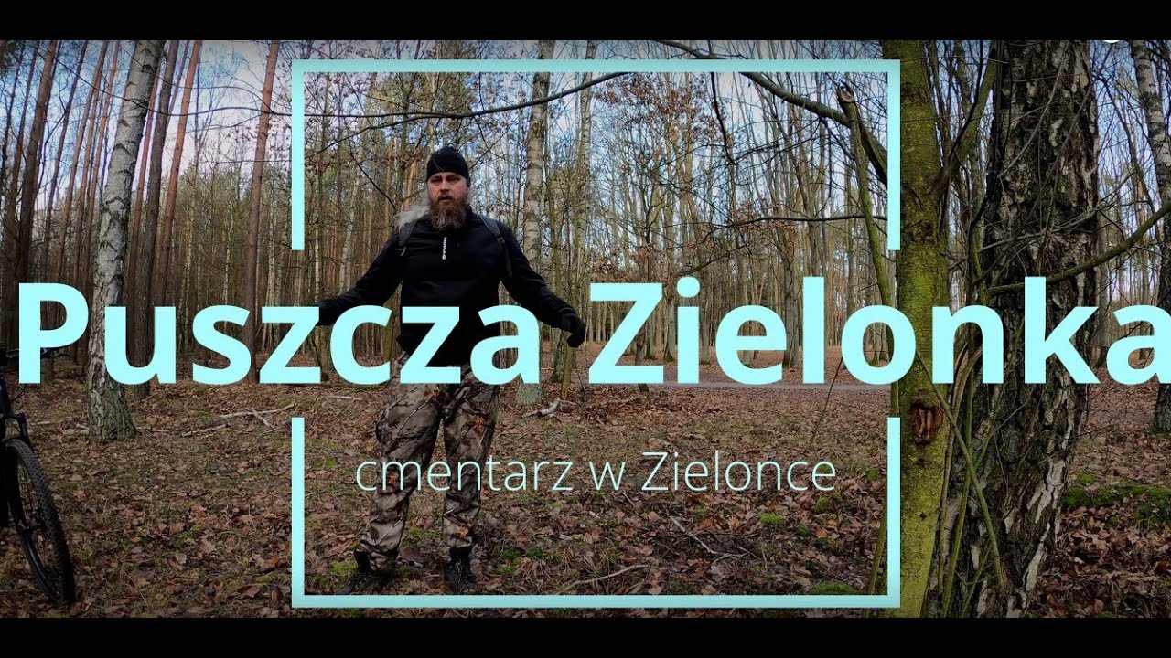 Puszcza Zielonka - cmentarz w Zielonce