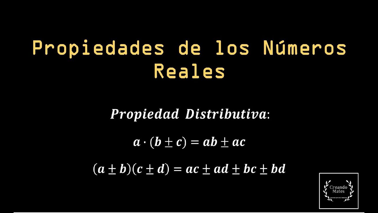 Propiedad Distributiva: Todo lo que necesitas saber y que no te ense&ntilde;an en la escuela