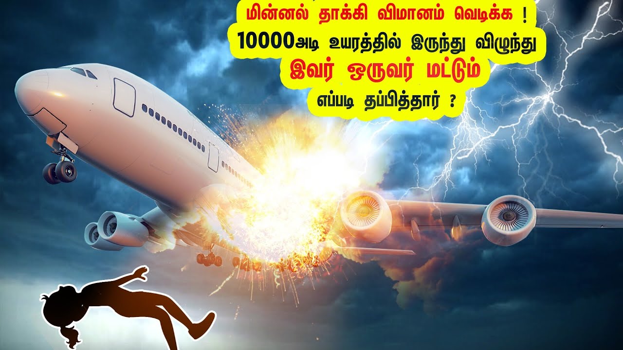 11 நாட்கள் : அமேசான் நடு காடு | உடை இல்லை! உணவு இல்லை! தனியொரு பெண்ணாய் எப்படி உயிர் பிழைத்தார் ?