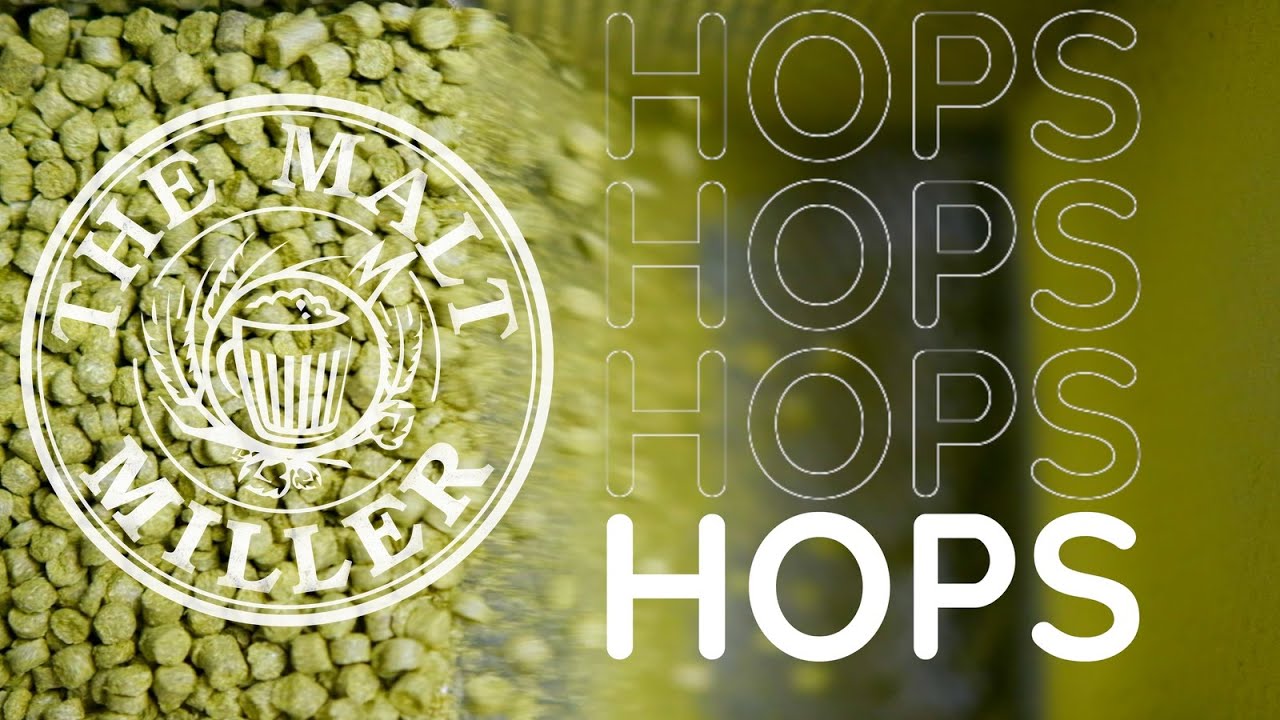 ALL ABOUT HOPS | THE MALT MILLER
