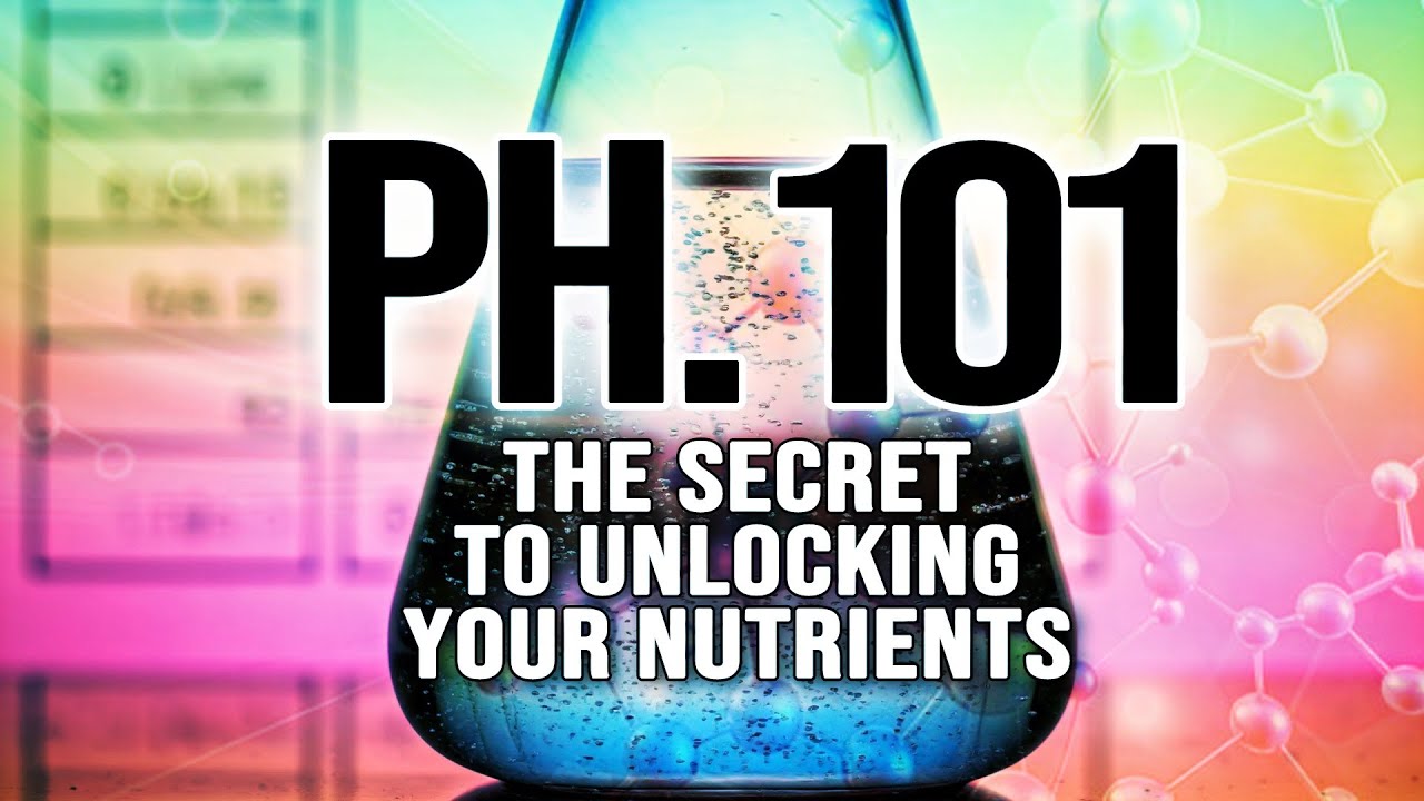 What You DON'T Know About PH Could KILL (your plants) HOW PH IS THE KEY TO UNLOCKING YOUR NUTRIENTS
