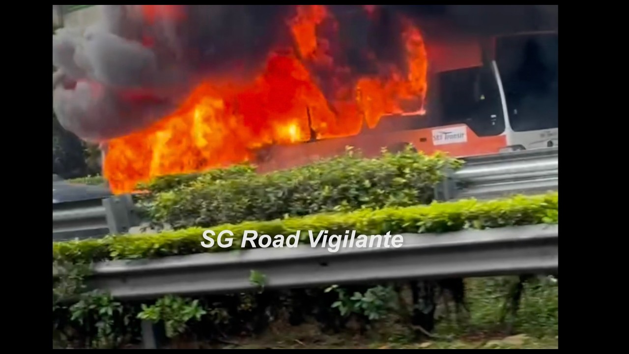 13feb2026  pie sbs transit bus on fire on the road shoulder on the expressway