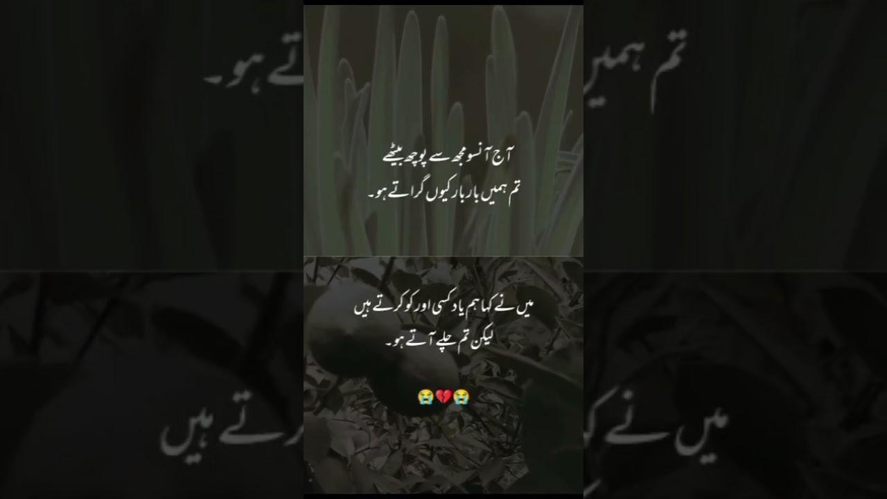 𝐃𝐞𝐞𝐩 𝐋𝐢𝐧𝐞 🥀💥❤️&zwj;🩹 | 𝐔𝐫𝐝𝐮 𝐒𝐡𝐚𝐲𝐚𝐫𝐢 | 𝐖𝐡𝐚𝐭𝐬𝐀𝐩𝐩 𝐒𝐭𝐚𝐭𝐮𝐬 | #poetry #urdupoetry #sadpoetry8 #asthetic