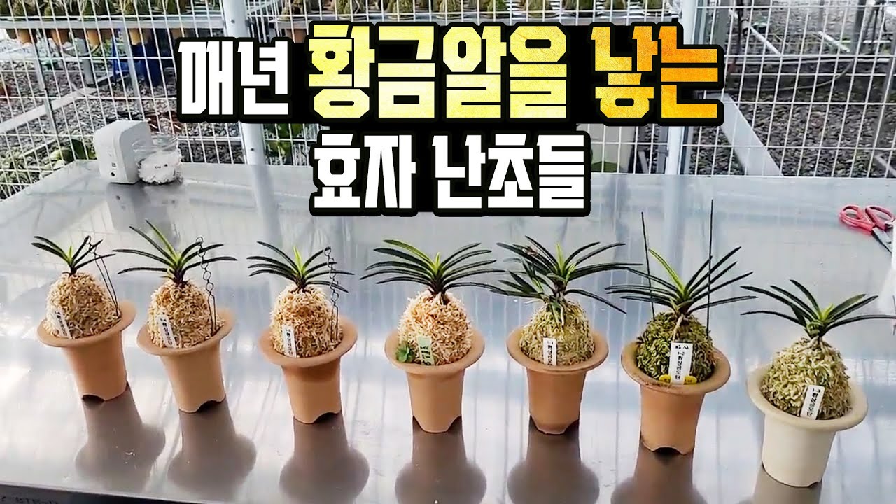 환상금모단 7년의 기록. 환상적인 수익률과 성과를 안겨준 난테크 비결