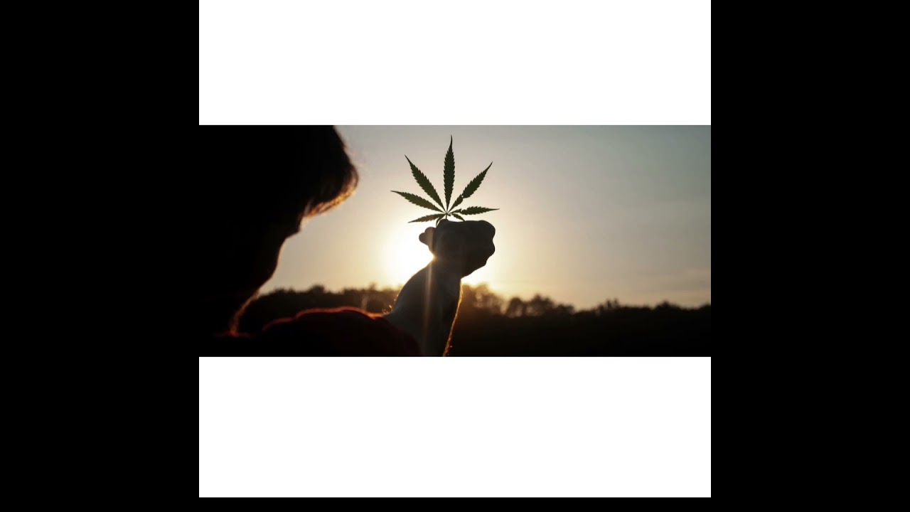 ¿Is 2022 the year that cannabis will be legalized in the U.S?
