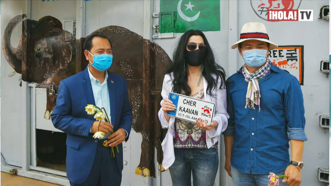 Cher celebró la llegada del elefante Kaavan al santuario en Camboya | ¡HOLA! TV