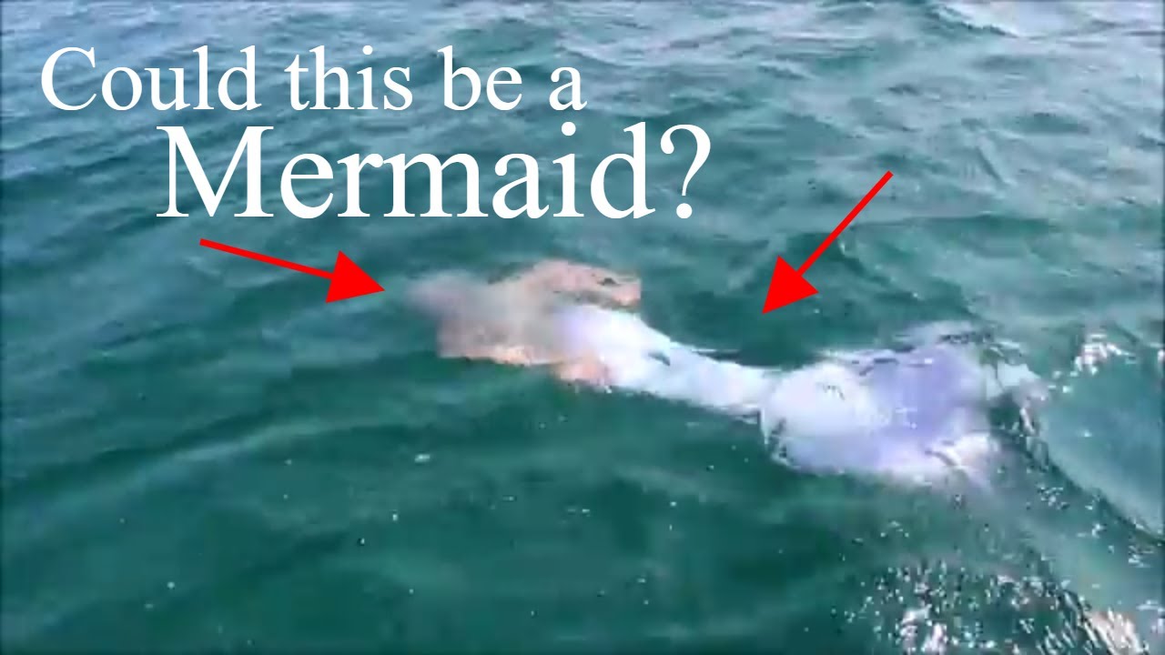 MERMAIDS IN LAKE MICHIGAN: Traverse City Mermaid Sighting FOUND by a Sailor! REAL&hearts; The Magic Crafter