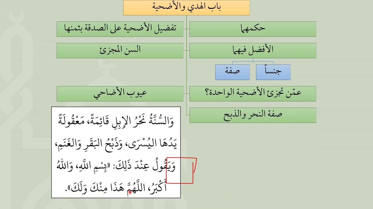 باب الأضحية من عمدة الفقه - عامر بهجت