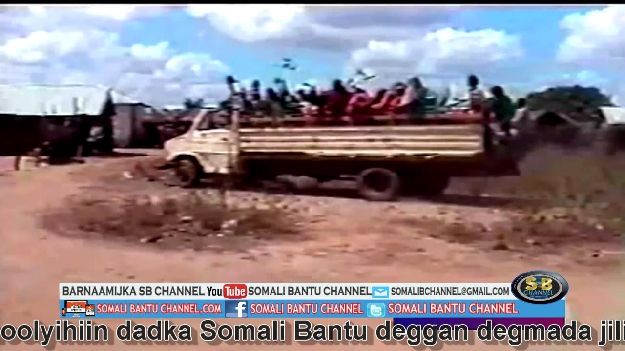 Nolosha caadiga ah ee dadka Somali Bantu ku nool degmada jilib gaar ahaan Qalaaliyow