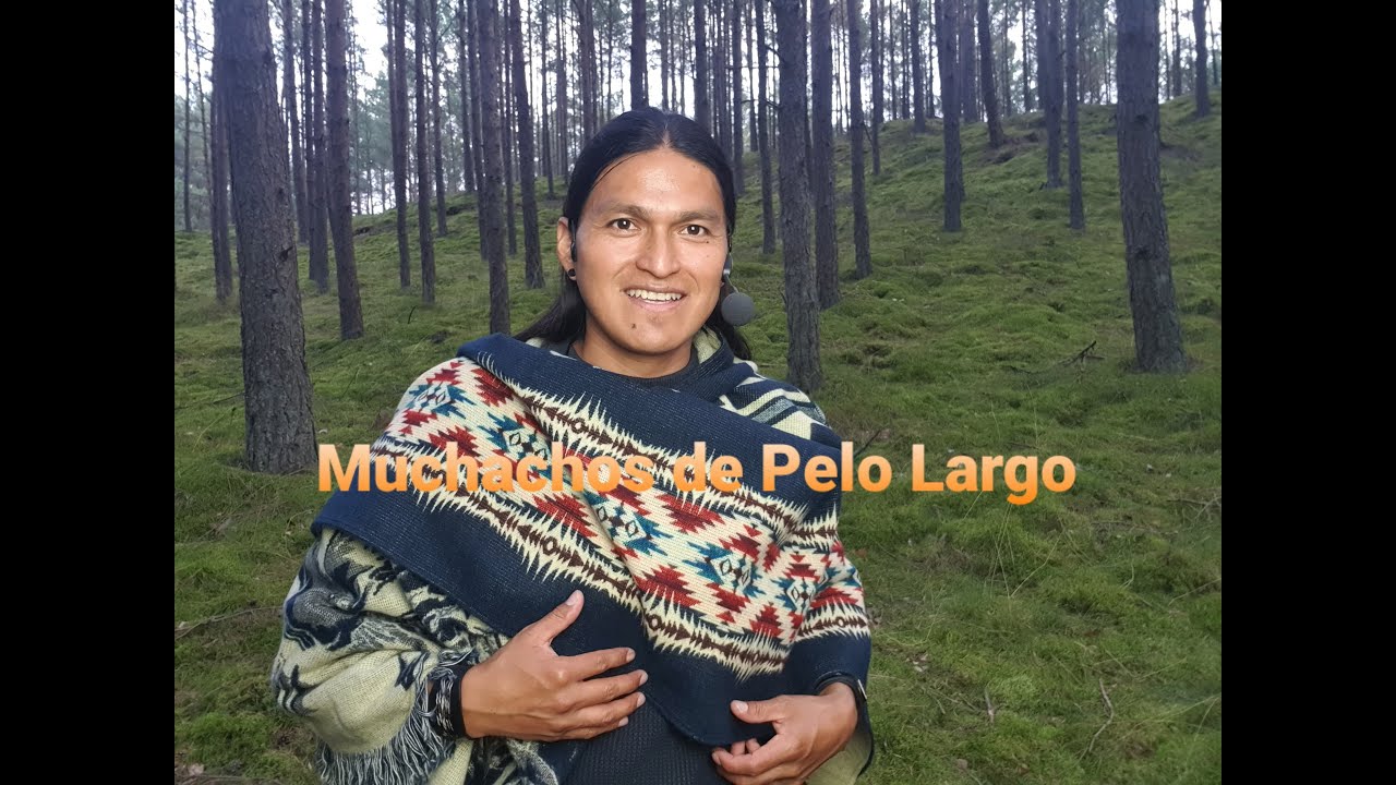 Music From The Andes | Muchachos andinos | Muchachos de Buen Corazon