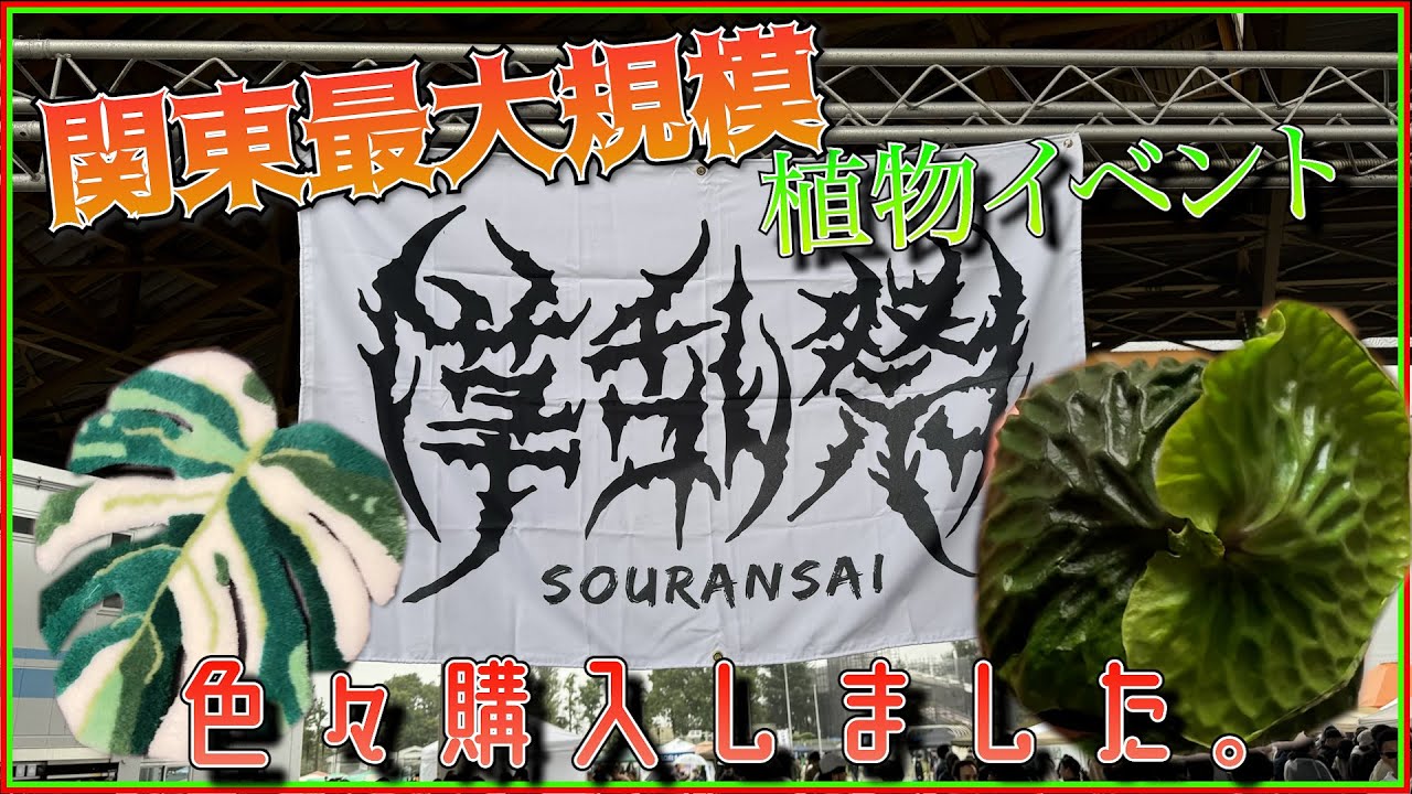 【大規模植物イベント】草乱祭に行って色々買ってきました！