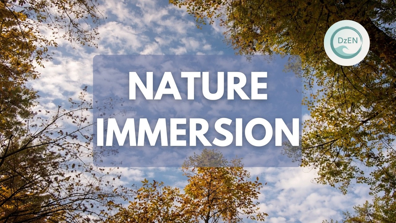River Sounds, Campfire Ambience & Atmospheric Pads for Meditation, Sleep & Stress Relief