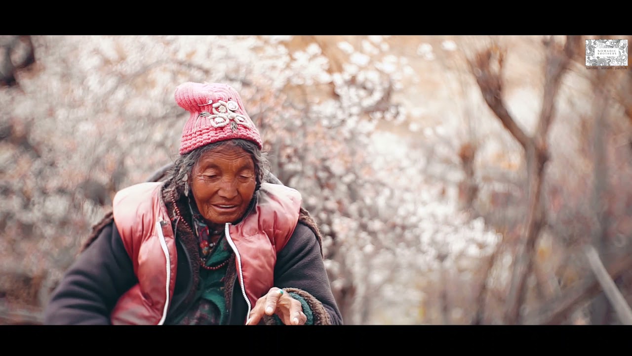 ARYAN VALLEY AND APRICOT BLOSSOMS 2021 |  NOMADIC BROTHERS