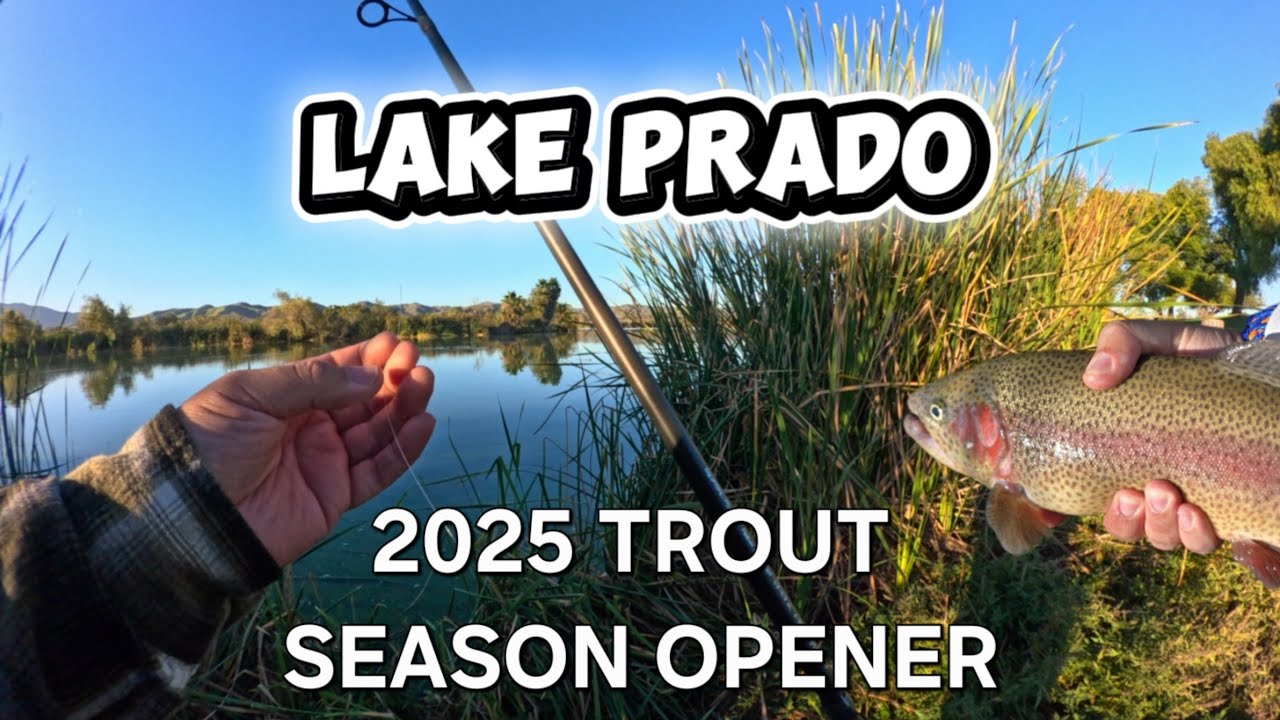 Открытие сезона ловли форели на озере Прадо 2025! Форель поймана 🎣 #рыбалкаТруча