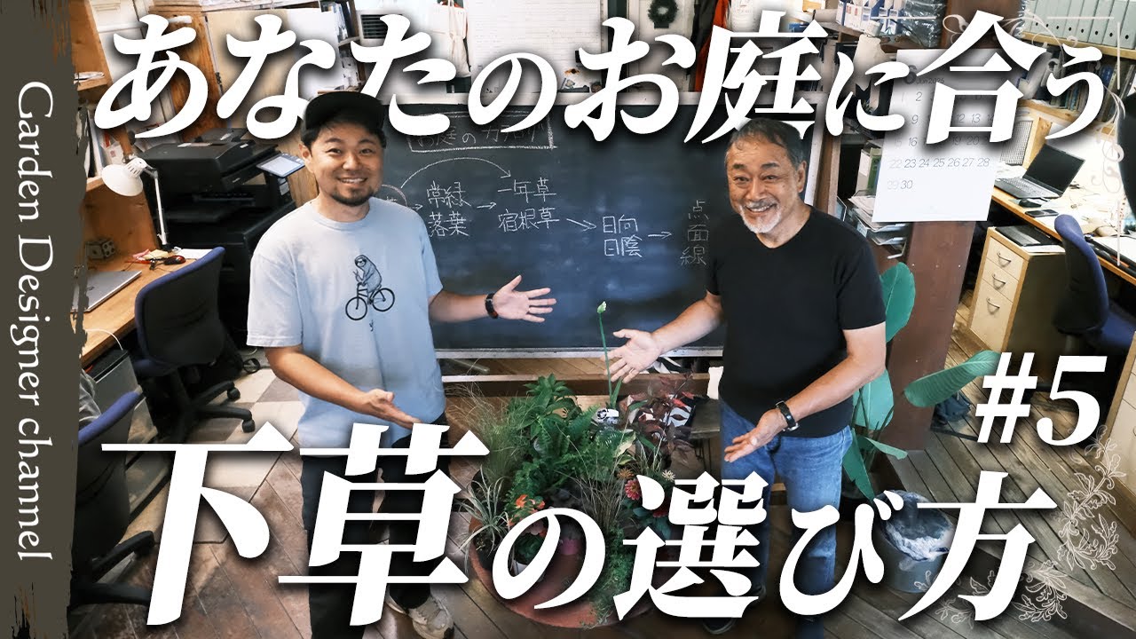 【初心者必見！】コレを選べば正解！条件別オススメの下草と管理方法を紹介【植物】【Recommended ground cover plants】