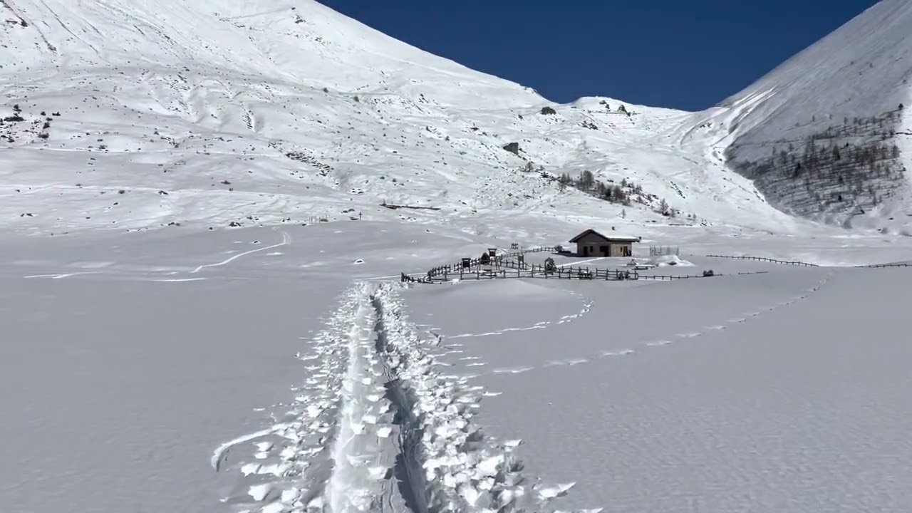 🥾2🐕❄️(TO) 2023-01 - Usseaux: Anello di Pian dell’Alpe