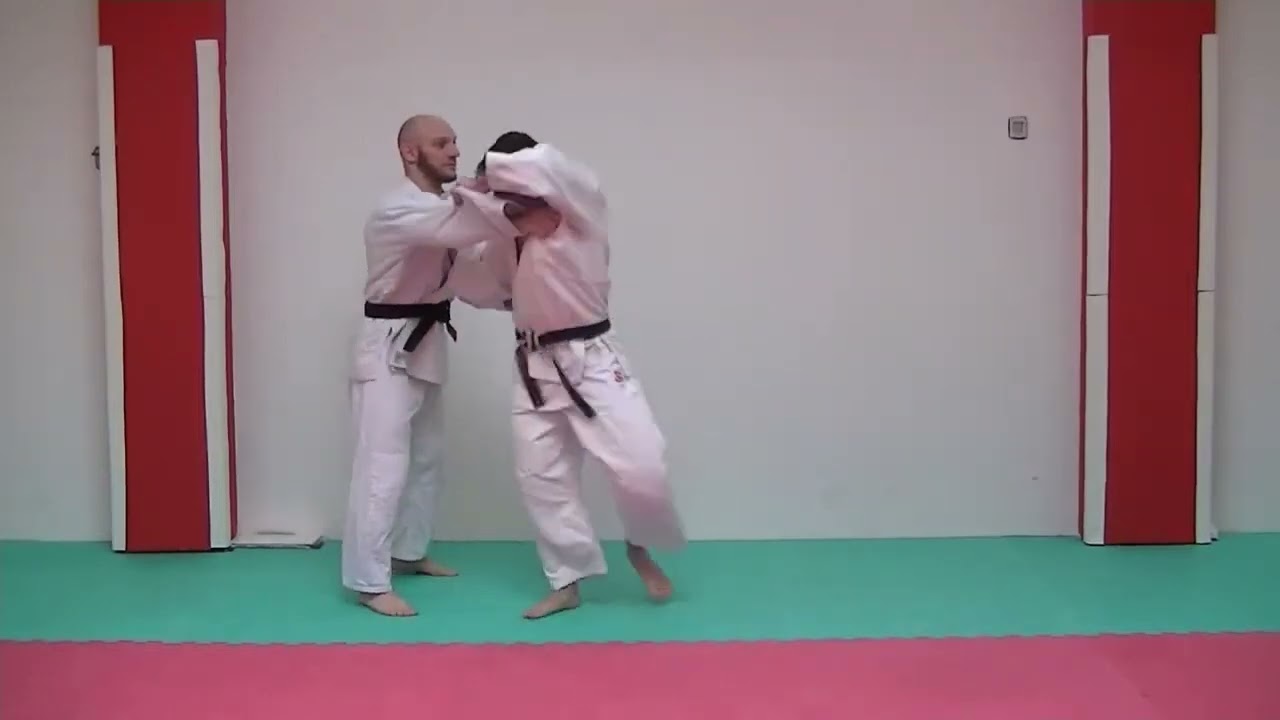 Yama Arashi