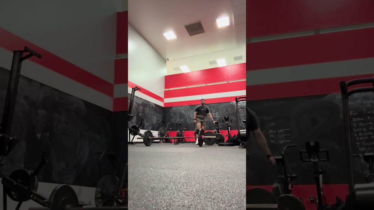 25.3