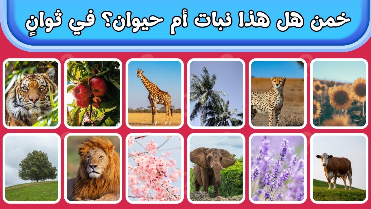 اختبار النبات أم الحيوان – فقط ١٪ ينجحون! 🌿🦁