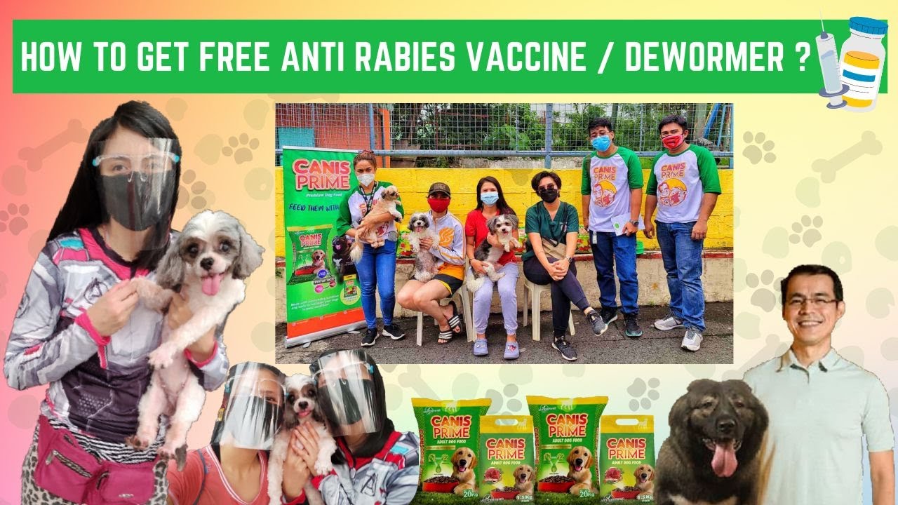 Yorme's Dog Food Choice Canis Prime | How to get FREE Anti rabies vaccine/ Dewormer?| Yours Truly MD