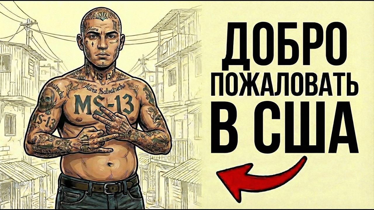 Ты — ЧЛЕН БАНДЫ MS-13 (И ЭТО ВСЯ ТВОЯ ЖИЗНЬ)