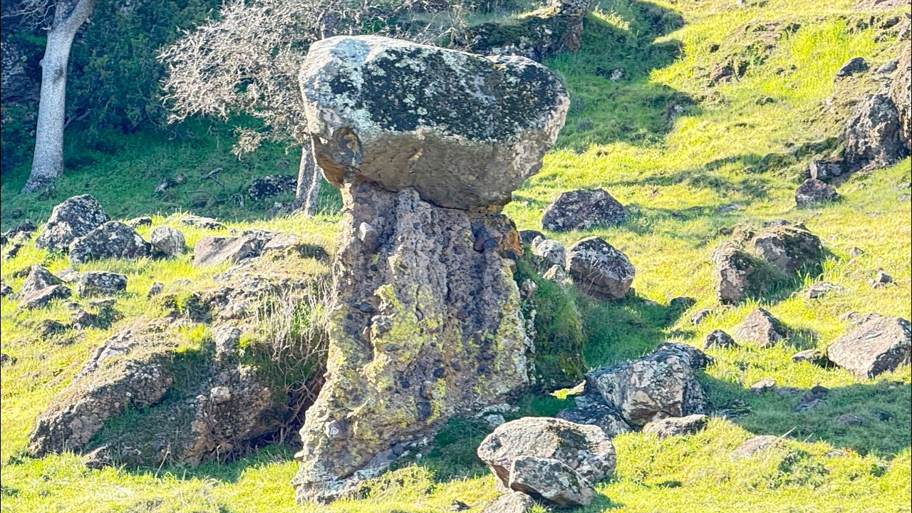 kayakers don’t need no stinkin gyms! 