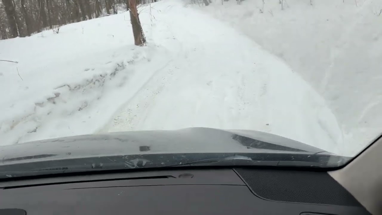 Печенеги черный лес subaru  outback выезд  25.01.2026