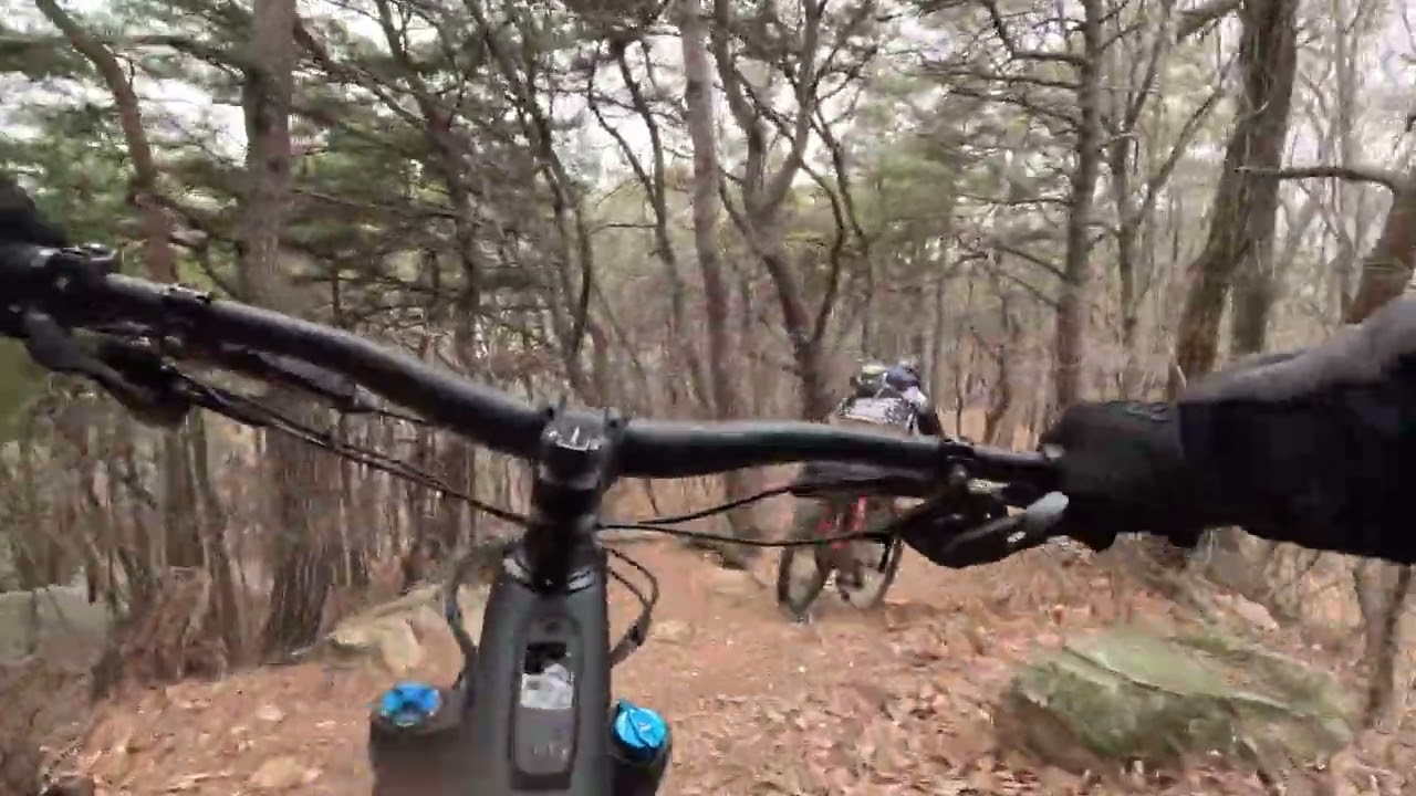 대전 도솔산 싱글 여기저기