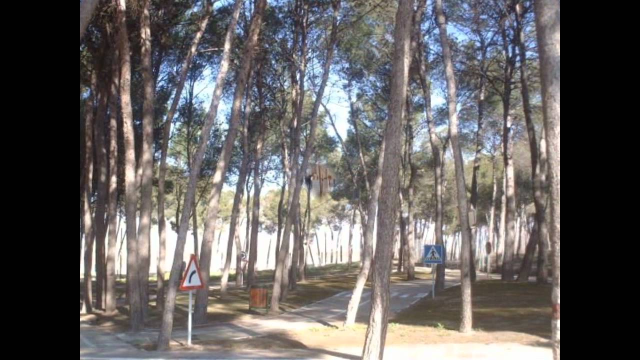 Tobarra, Video Tur&iacute;stico de Albacete