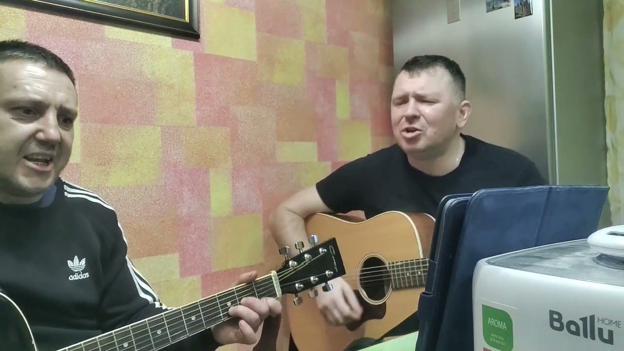 Лебеди,лебеди,белые лебеди в небе над нами опять