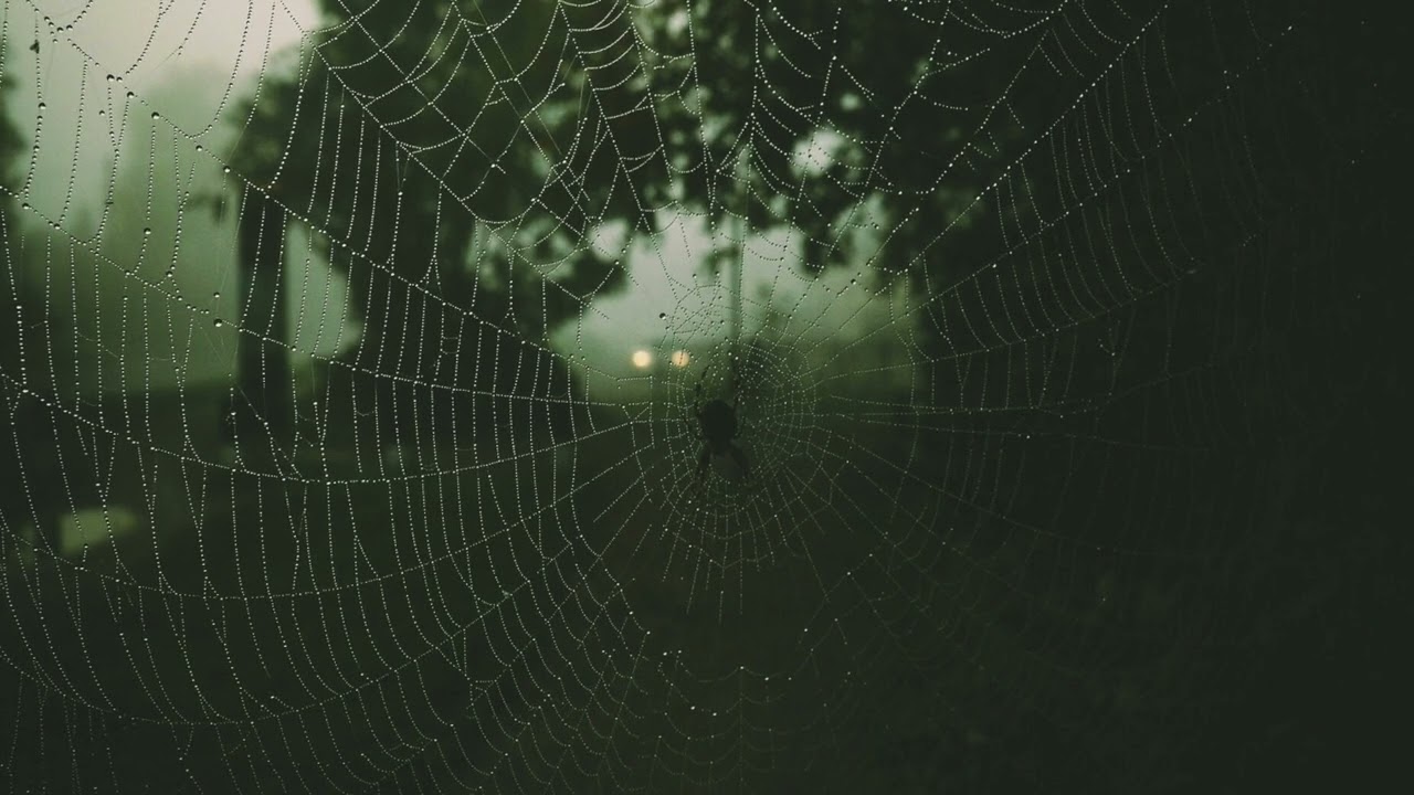 SPIDER WEB - Melanie Martinez (Slowed + Reverb)