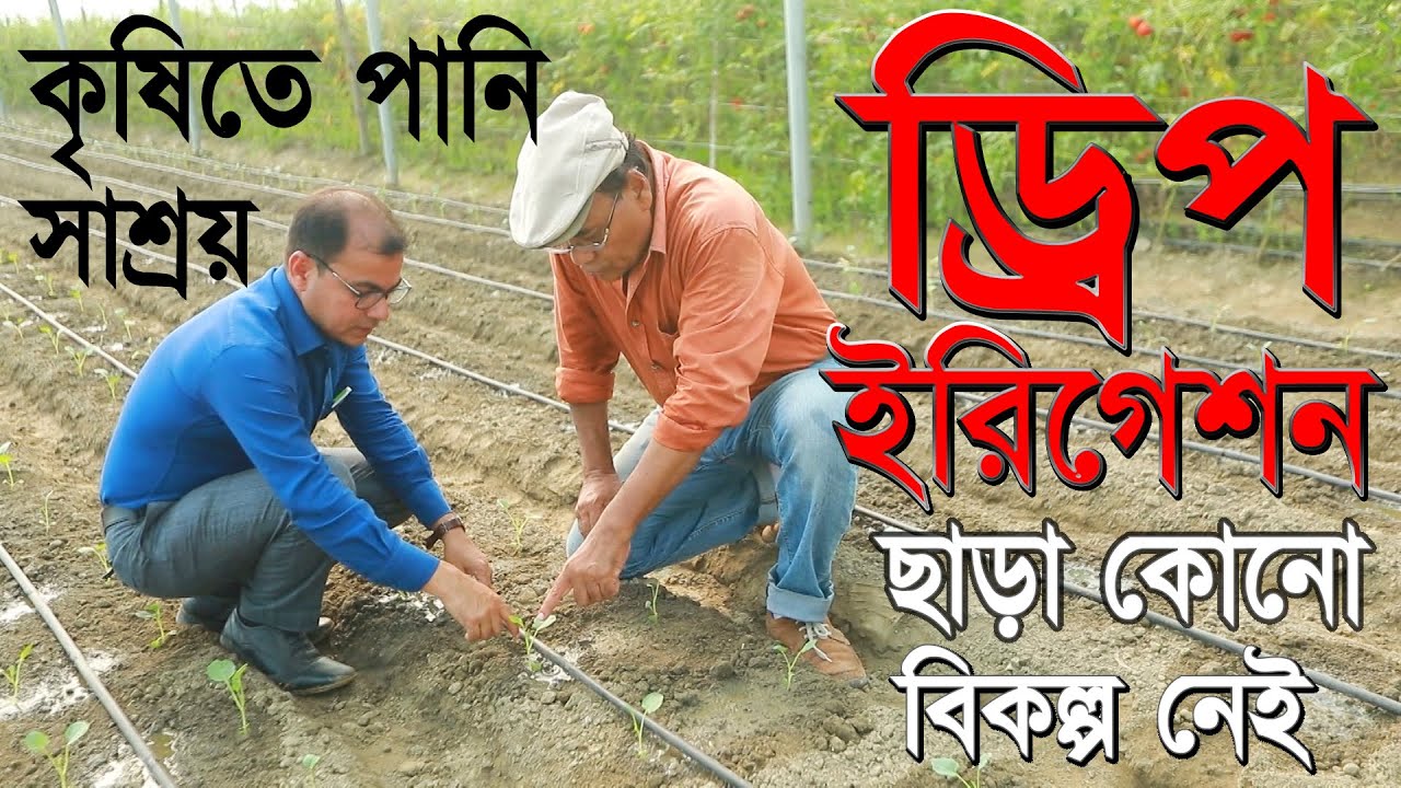 কৃষিতে পানি সাশ্রয়,ড্রিপ ইরিগেশন ছাড়া কোনো বিকল্প নেই |Drip Irrigation |Dewan Siraj |Mati O Manush