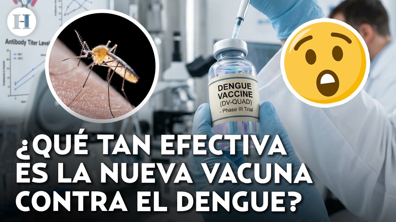 ¿La cura para el dengue llegó a México? Cofepris aprueba nueva vacuna contra esta enfermedad