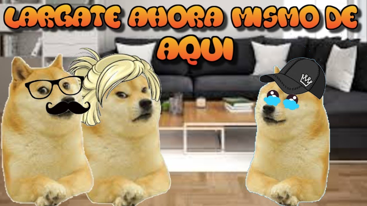 Abro hilo/MIS PADRES con DERECHO me ECHARON de CASA - |hilos con cheems| - |cheems|