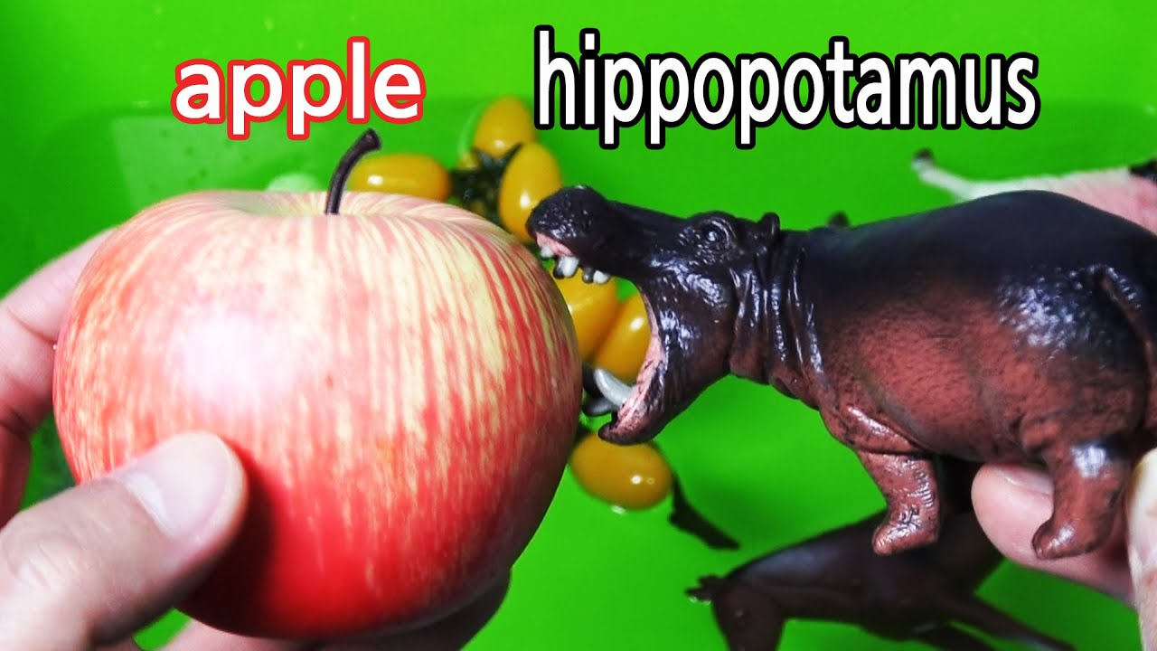 채소,과일과 동물의 이름을 함께 알아보아요Learn the names of animals,fruits and vegetables with toys