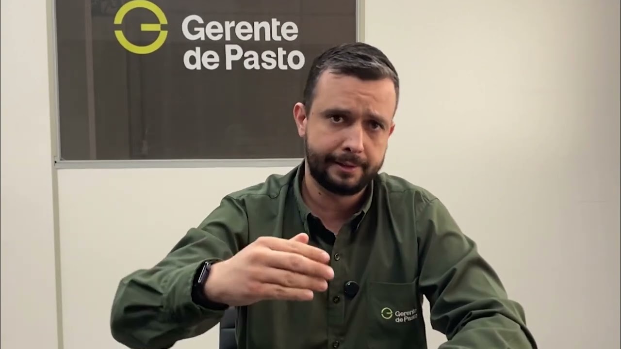 MANIVA DE MANDIOCA É UMA SOLUÇÃO BARATA PARA ALIMENTAÇÃO DO GADO? CONFIRA