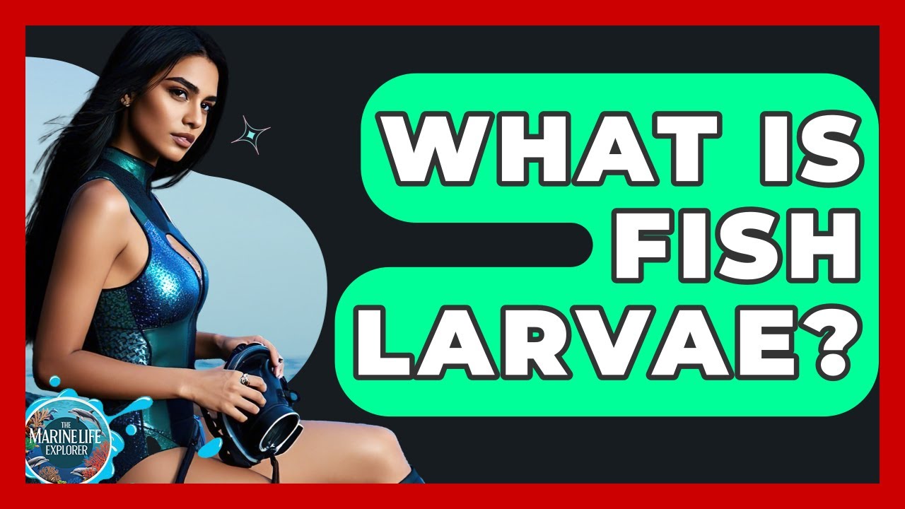What Is Fish Larvae? - The Marine Life Explorer