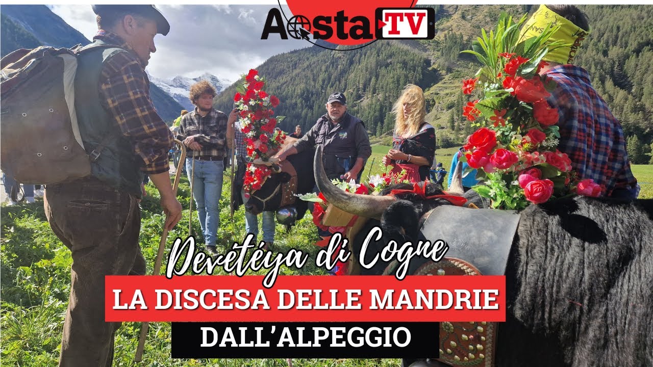 COGNE: la grande festa per la discesa delle mandrie dall'alpeggio