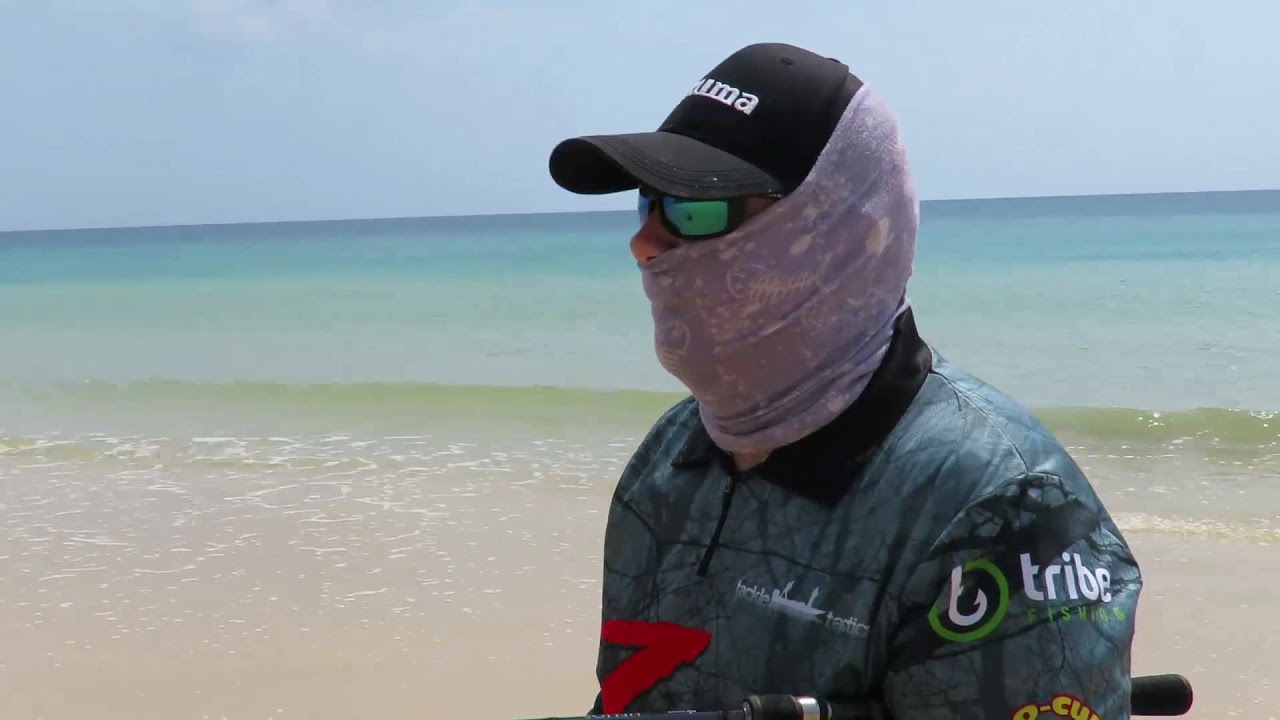 How to Catch Tailor on Soft Plastics