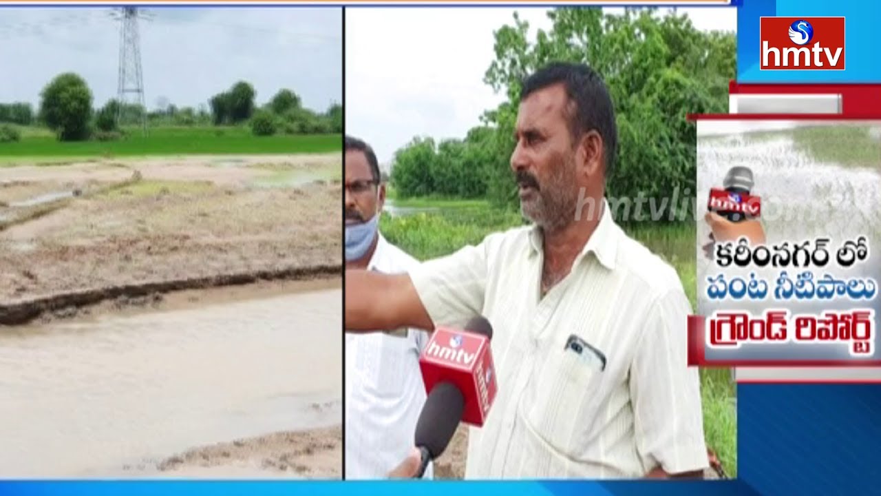 Heavy Rains Destroy Crops in Karimnagar | Ground Report | hmtv News