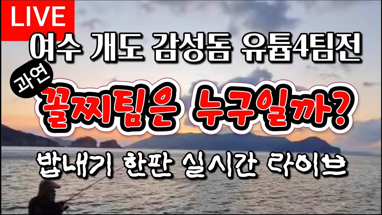 여수개도 감성돔👍유튭4인방 밥내기 시합 라이브 🎵스릴보장 당두호 오라이