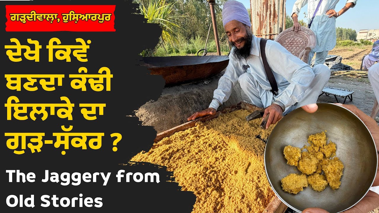 The jaggery from old stories। ਦੇਖੋ ਕਿਵੇਂ ਬਣਦਾ ਹੈ ਕੰਢੀ ਇਲਾਕੇ ਦਾ ਗੁੜ-ਸ਼ੱਕਰ? ਕਿਉਂ ਮਸ਼ਹੂਰ ਹੈ ਇਹ ਗੁੜ ?