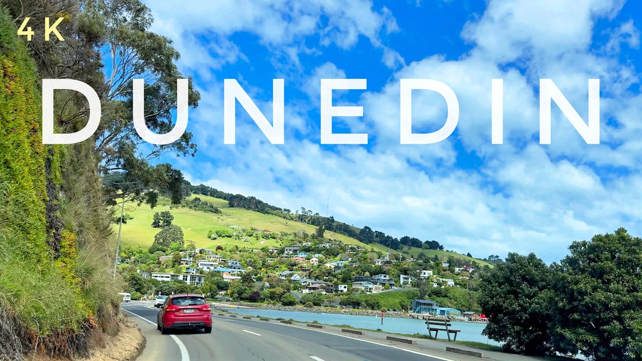 Dunedin New Zealand Driving Tour 4K | Otago Peninsula to Dunedin City Centre Scenic Seaside Drive