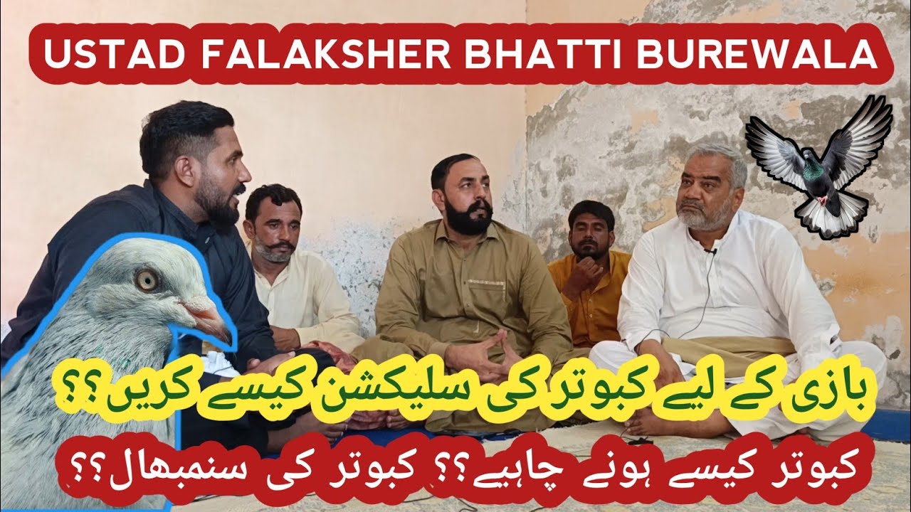 IK SHOK KABOTAR BAAZI DA INTERVIEW|| USTAD FALAKSHER BHATTI BUREWALA